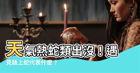 路上遇見蛇|【路上看到蛇代表什麼】天氣熱蛇類出沒！遇見路上蛇代表什麼？。